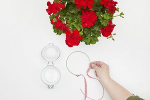 Hand tying decorative ribbon onto two loops of an open-ended wire ring next to a jar and a geranium.