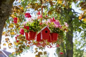 Chandelier with birdhouse and geraniums in pale and bright pink hanging from a tree in a garden