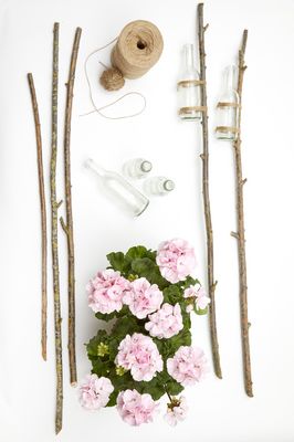 Materials for DIY garden stakes are branches, twine, glass bottles and a geranium.