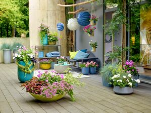 Terrace with lanterns, colourful cushions and different coloured geraniums in bowls, ceramic pots and hanging planters.