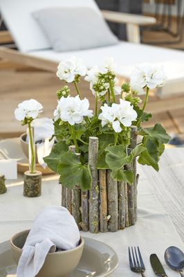 Upcycled planter made from branches holding a white geranium on a laid table