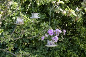 Upcycling Blumenampel aus Vintage Tasse und Untertasse mit lilafarbener Geranie in Garten