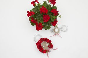 Red geranium, jar with sand and tea light and DIY upcycled candle holder with candles and wreath made of geranium flowers