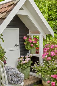 Bright and pale pink geraniums in green planters and wooden chair with blanket in front of a summerhouse.