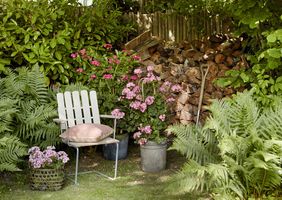 Rosa Geranien mit Gartenstuhl, Feuerholz und Farn